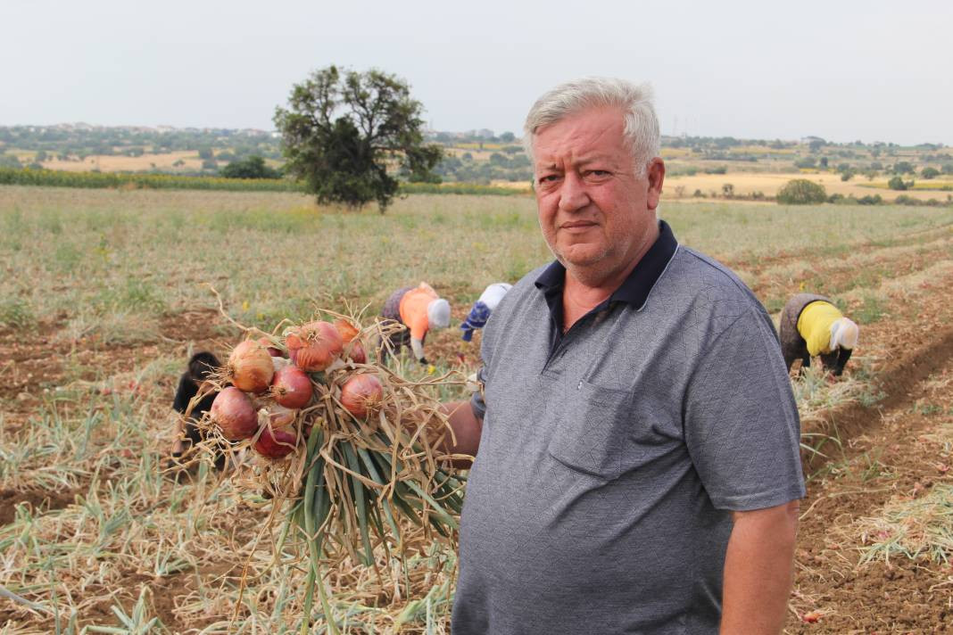 Hasadı başladı kilosu 30 TL. Şafak vakti toplanıyor Kansere kalkan oluyor - Resim: 2